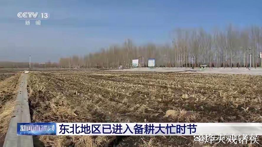 全国已春播粮食3500多万亩